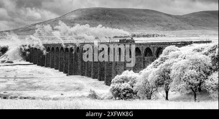 The image is of the BR, LNER A4 Pacific Class, 4-6-2, 60007, Sir Nigel Gresley steam train crossing the Ribblehead viaduct in the Yorkshire Dales Stock Photo