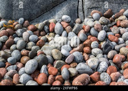 Collection of colorful beach pebbles Stock Photo