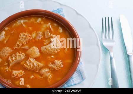 Callos a la Madrileña, close view. Madrid, Spain. Stock Photo