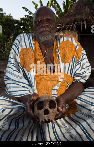 Local manon man in traditional robe with Chimpanzee (Pan troglodytes verus) skull,  Bossou, Republic of Guinea. December 2012. Stock Photo