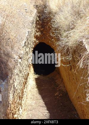 Ancient Copper age citadels in Argolis, Peloponnese, Greece Stock Photo