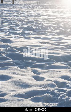 Sun glare, light on the snow. Scenic view of snow covered land. Brightly lit snow surface with footprints. Stock Photo