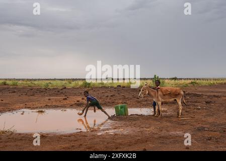 Nicolas Remene / Le Pictorium -  Breeders in Telemces, Tilia, Tahoua -  10/10/2019  -  Niger / Tahoua / Tilia  -  Children with their donkey come to collect water from a small pond, October 10, 2019, after the rains that fell in the Tilia department and Tahoua region of Niger. Stock Photo