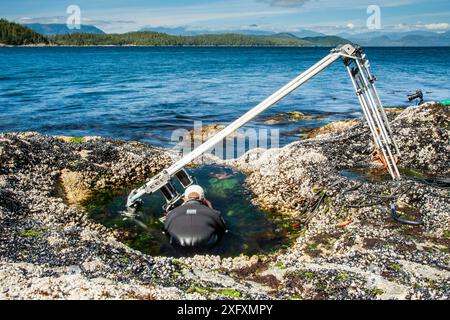 Using a specialist motion control rig to film underwater timelapse in a rockpool. On production for BBC Blue Planet II, Vancouver island, British Columbia, Canada, July. Stock Photo