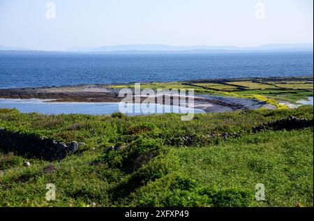 The seal colony beach on the Inis Mor, Co, Galway, Inishmore, Aran Island, Ireland Stock Photo