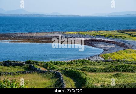 The seal colony beach on the Inis Mor, Co, Galway, Inishmore, Aran Island, Ireland Stock Photo