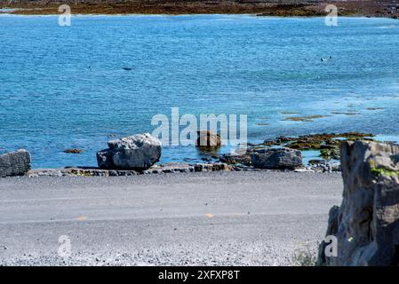 The seal colony beach on the Inis Mor, Co, Galway, Inishmore, Aran Island, Ireland Stock Photo