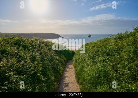 Footpath, Dune, Beach, Landscape, Sky, Clouds, Morning, Summer, Broad Haven South Beach, Pembrokeshire Coast Path, Pembroke, Wales, United Kingdom Stock Photo