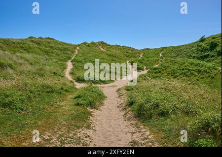 Footpath, sand dunes, sky, summer, Broad Haven South Beach, Pembrokeshire Coast Path, Pembroke, Wales, United Kingdom Stock Photo