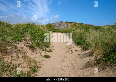 Footpath, sand dunes, sky, summer, Broad Haven South Beach, Pembrokeshire Coast Path, Pembroke, Wales, United Kingdom Stock Photo