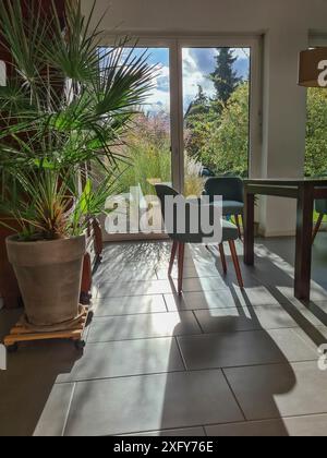 View of a palm tree on the left and two chairs at the wooden table on the right Stock Photo