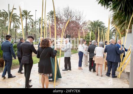 Palm Sunday, preparation, gathering, Park Emilio Villanueva, tradition, customs, Semana Santa, Elche, Alicante, Autonomy of Valencia, Spain Stock Photo