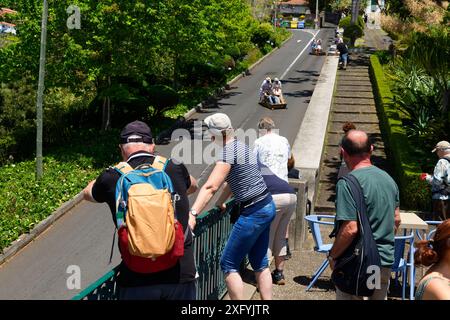 Toboggan ride from Monte to Funchal, Monte Palace, Tropical Garden, Monte district, Funchal, Madeira Island, Ilha de Madeira, Atlantic Ocean, Portugal Stock Photo