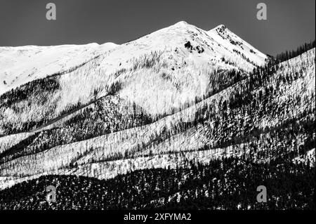 Black & white of snow covered Methodist Mountain (11,707' elevation) near Salida, Colorado, USA Stock Photo