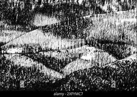 Black & white of snow covered Methodist Mountain (11,707' elevation) near Salida, Colorado, USA Stock Photo