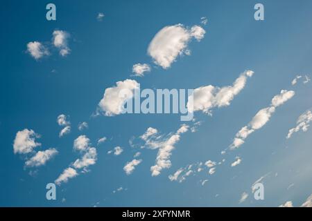 Small fluffy cumulus clouds stand out sharply against the blue sky Stock Photo