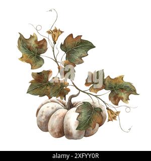 White pumpkin with spots, autumn foliage and pumpkin flower. Hand drawn watercolor botanical illustration. Suitable for decoration, cards, autumn post Stock Photo