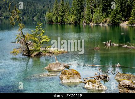 WA25476-00...WASHINGTON - Small cove along the shores of Baker Lake in the Mount Baker-Snoqualmie National Forest. Stock Photo