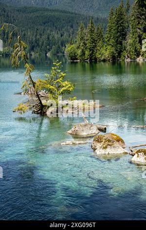 WA25478-00...WASHINGTON - Small cove along the shores of Baker Lake in the Mount Baker-Snoqualmie National Forest. Stock Photo