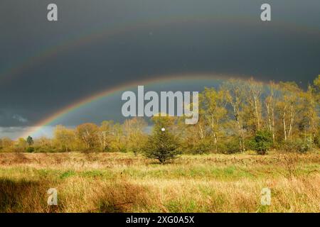 Double rainbow over alluvial meadows on the banks of the Loire, Loire Valley, France Stock Photo