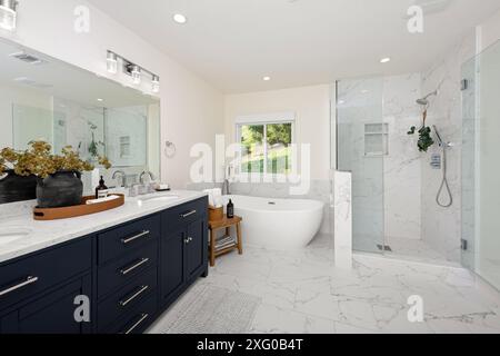 A modern bathroom interior with a freestanding tub, glass shower, double vanity with dark blue cabinets, and a large mirror. Stock Photo