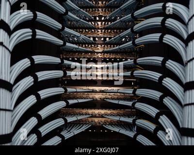 close up of network cables in a data center. Stock Photo