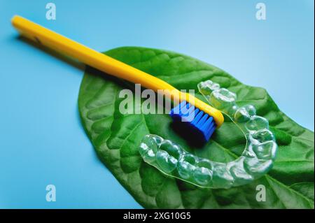 A transparent plastic aligner with a new toothbrush lie on a green fresh leaf, on a blue background Stock Photo