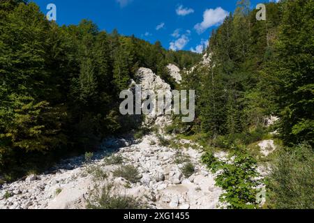 At the Boka waterfall in Slovenia Stock Photo