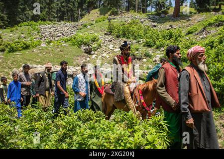 A Gujjar (nomad) groom rides a horse along a forest trail to reach his bride's home during the marriage ceremony at Sangerwani village in Pulwama district, 75 km south of Srinagar, the summer capital of the Himalayan region of Kashmir. Despite the exponential development of automobiles, some nomadic tribes still use horses and palanquins for weddings. A new study conducted by the Tribal Research and Cultural Foundation, a frontal organization of the Gujjar (nomadic) community, reveals that 88 percent of Gujjars (nomads) in Jammu and Kashmir spend up to 600 U.S. dollars on a marriage ceremony, Stock Photo