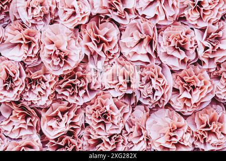 Handmade pink crepe paper flowers to decorate a float in a party Stock Photo