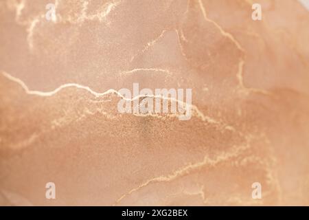 A close-up photograph showcasing a delicate abstract pattern of golden veins tracing across a soft, peachy background. This image evokes a sense of Stock Photo