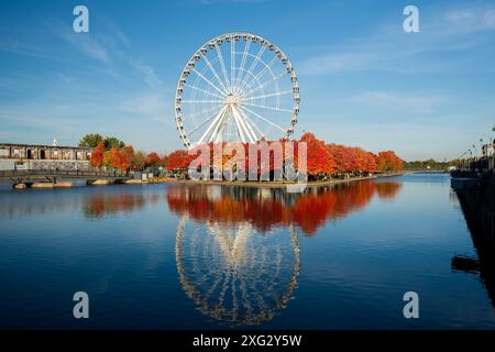 Old Port of Montreal in autumn. Red maples and old Montreal skyline reflected on St. Lawrence River. Fall foliage season in Montreal, Quebec, Canada. Stock Photo