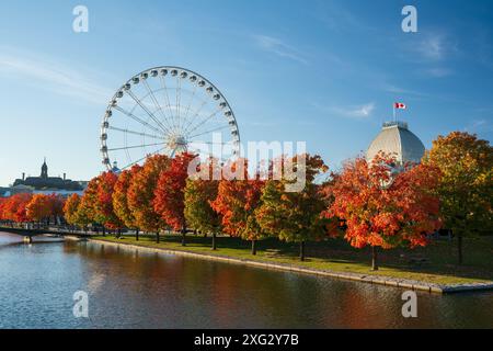 Old Port of Montreal in autumn. Red maples and old Montreal skyline reflected on St. Lawrence River. Fall foliage season in Montreal, Quebec, Canada. Stock Photo