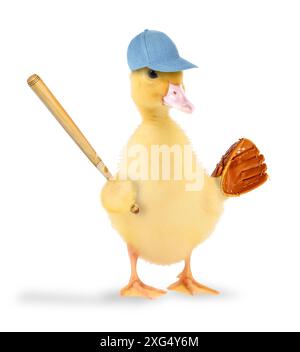 Cute small duckling with cap, wooden bat and baseball glove isolated on white Stock Photo