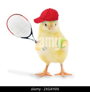 Adorable fluffy chick with red cap and tennis racket isolated on white Stock Photo