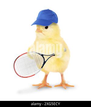 Adorable fluffy chick with blue cap and tennis racket isolated on white Stock Photo