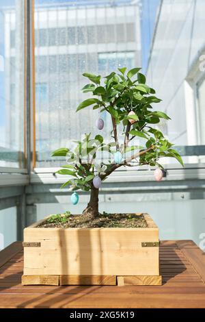 Bonsai decorated with Easter eggs on a table on the balcony Stock Photo