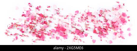 Valentine day panorama with pink hearts and flowers confetti, a flat lay panoramic banner on a white background Stock Photo