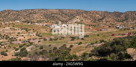 Argan tree, Assaka, road from Essaouira to Agadir, morocco Stock Photo