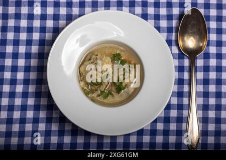 Bavarian dumpling soup on a plate Stock Photo