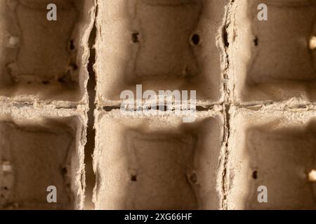 paper cups with added fertilizers and peat for seedlings, empty square cups with peat for growing plants Stock Photo