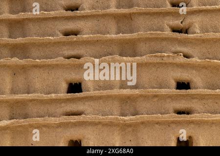 paper cups with added fertilizers and peat for seedlings, empty square cups with peat for growing plants Stock Photo