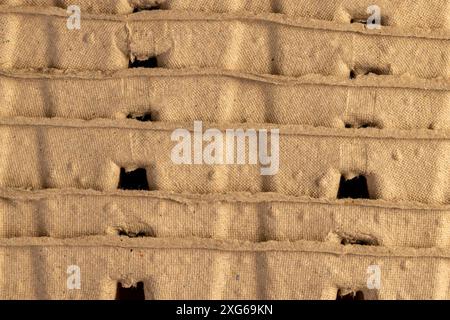 paper cups with added fertilizers and peat for seedlings, empty square cups with peat for growing plants Stock Photo