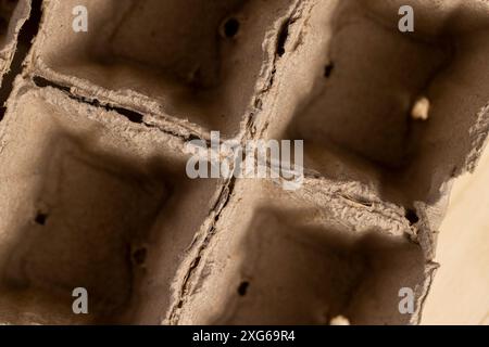paper cups with added fertilizers and peat for seedlings, empty square cups with peat for growing plants Stock Photo