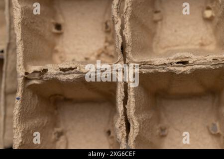 paper cups with added fertilizers and peat for seedlings, empty square cups with peat for growing plants Stock Photo