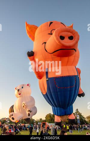 Hot air balloons climbing into the early morning cloudless sky at the 2024 Balloons over Waikato festival at Hamilton on New Zealand's North Island Stock Photo