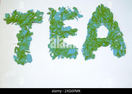 a hot drink made by infusing the dried crushed leaves of the tea plant in boiling water Stock Photo