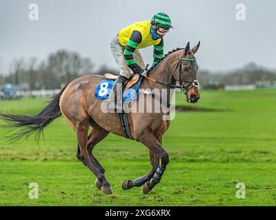 Fifth race at Wincanton, January 8th 2022 Stock Photo