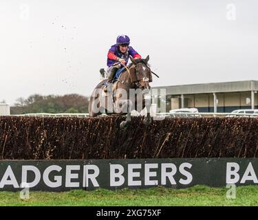 Race 8 at Wincanton Racecourse, January 8th 2022 Stock Photo