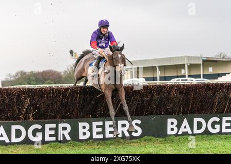 Race 8 at Wincanton Racecourse, January 8th 2022 Stock Photo